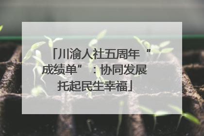 川渝人社五周年“成绩单”：协同发展托起民生幸福